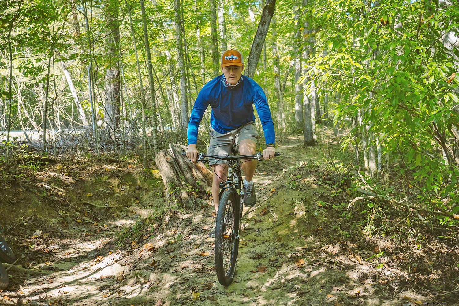 Quédate cerca, Ir lejos en Kentucky 